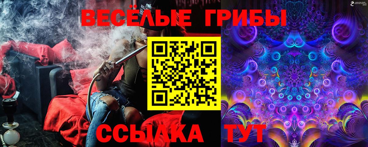 закладка  Вход с VPN  Орск  Псилоцибиновые грибы ЛСД  Галлюциногенные грибы Magic Shrooms 