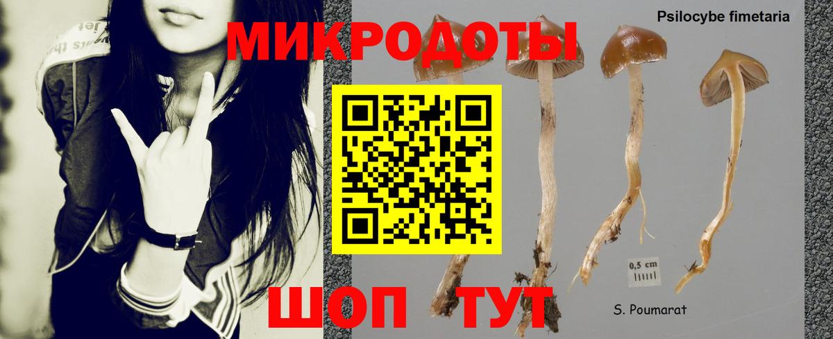 Псилоцибиновые грибы мицелий Орск