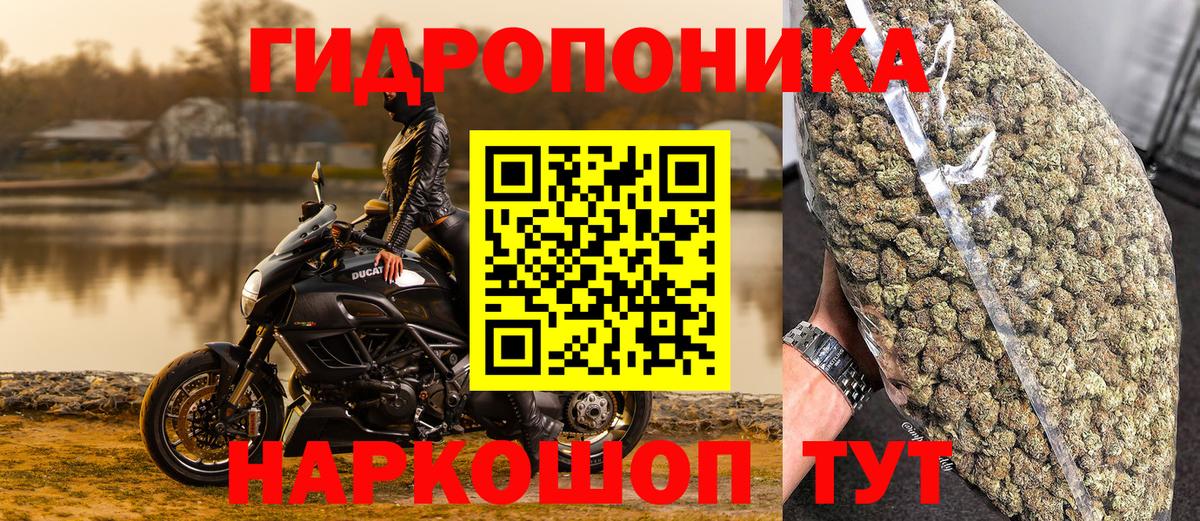 Орск  Канабис VHQ  Вход с VPN  Бошки марихуана планчик 